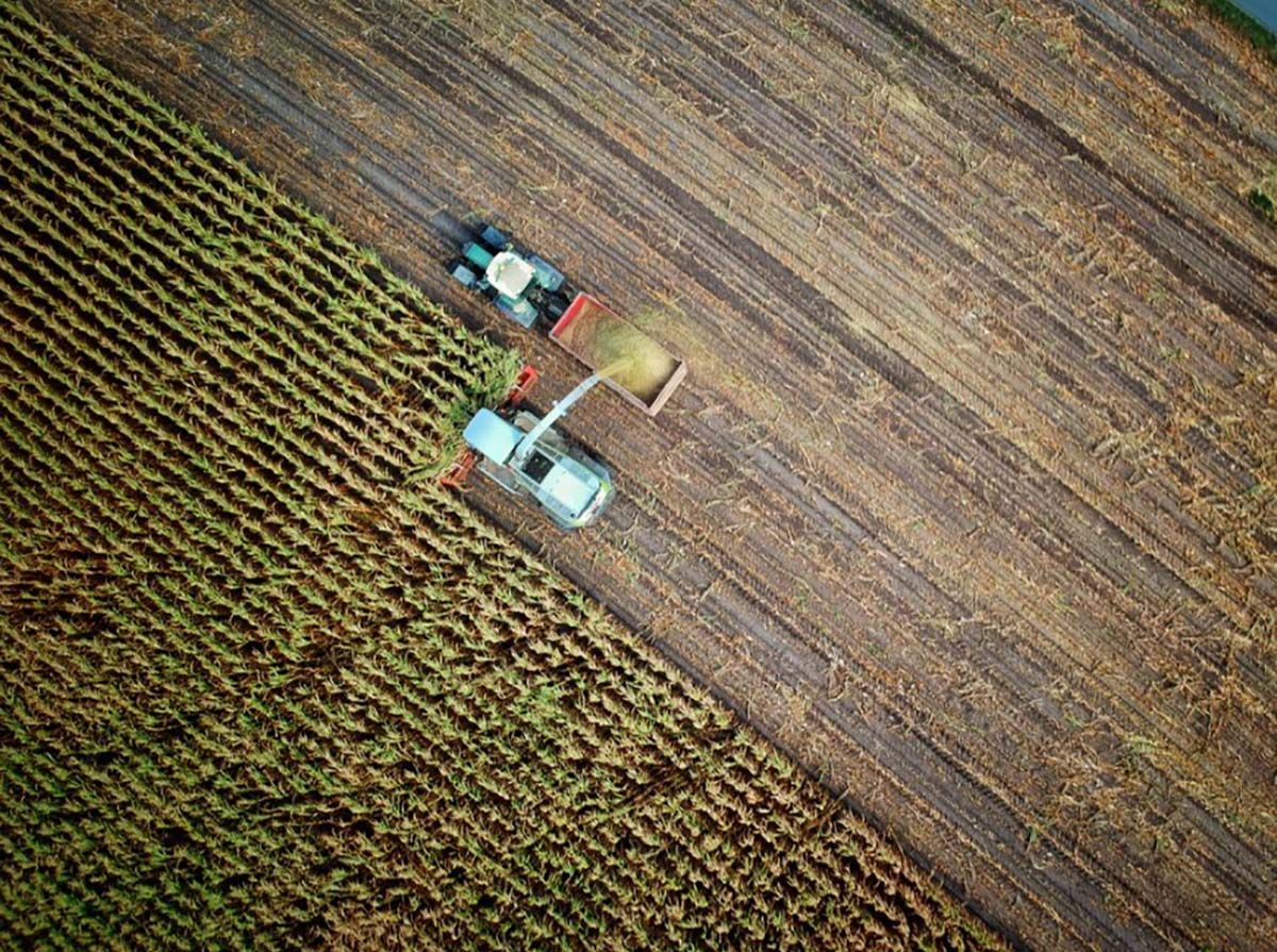 Упадок сельского хозяйства в Крыму: украинцы успешнее россиян Упадок сельского хозяйства в Крыму: украинцы успешнее россиян