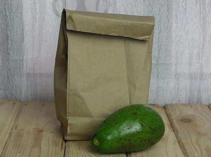 Авокадо Авокадо