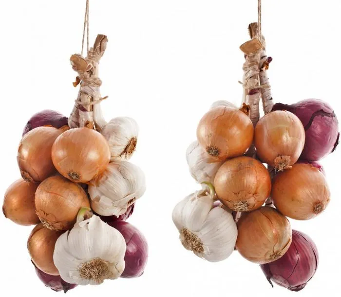 Цибуля і часник Цибуля і часник