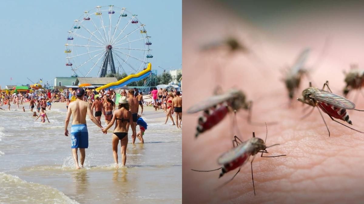 Туристи у Кирилівці потерпають від навалу комарів: відео