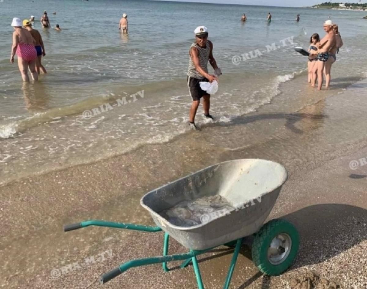 На популярному курорті відпочивальникам дошкуляють медузи На популярному курорті відпочивальникам дошкуляють медузи