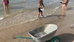 Вивозять тачками: на популярному курорті відпочивальникам дошкуляють медузи – відео