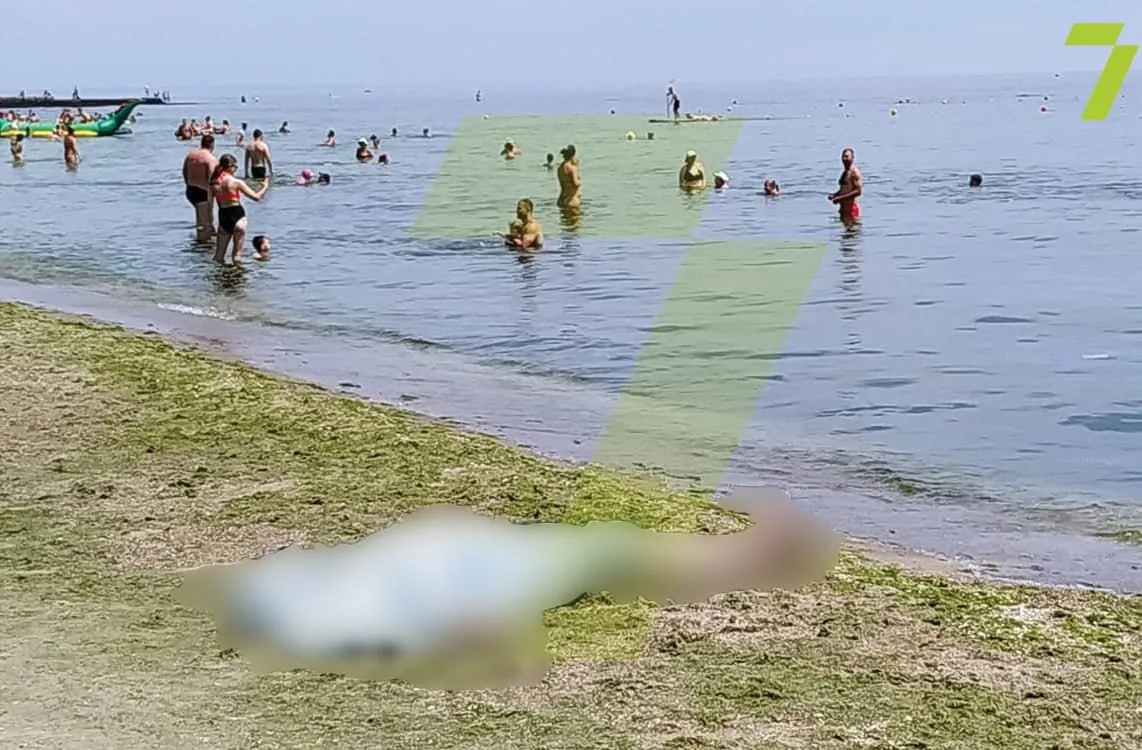 Труп чоловіка лежав в Одесі Новини Одеси Відпочивальники Труп чоловіка лежав в Одесі Новини Одеси Відпочивальники