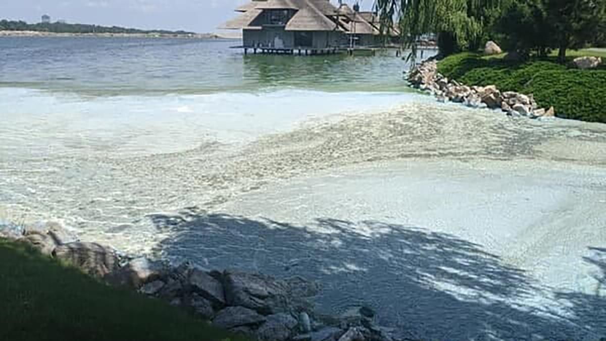 Засмерділась вода яхт-клубу в Дніпрі: яка причина – фото Засмерділась вода яхт-клубу в Дніпрі: яка причина – фото