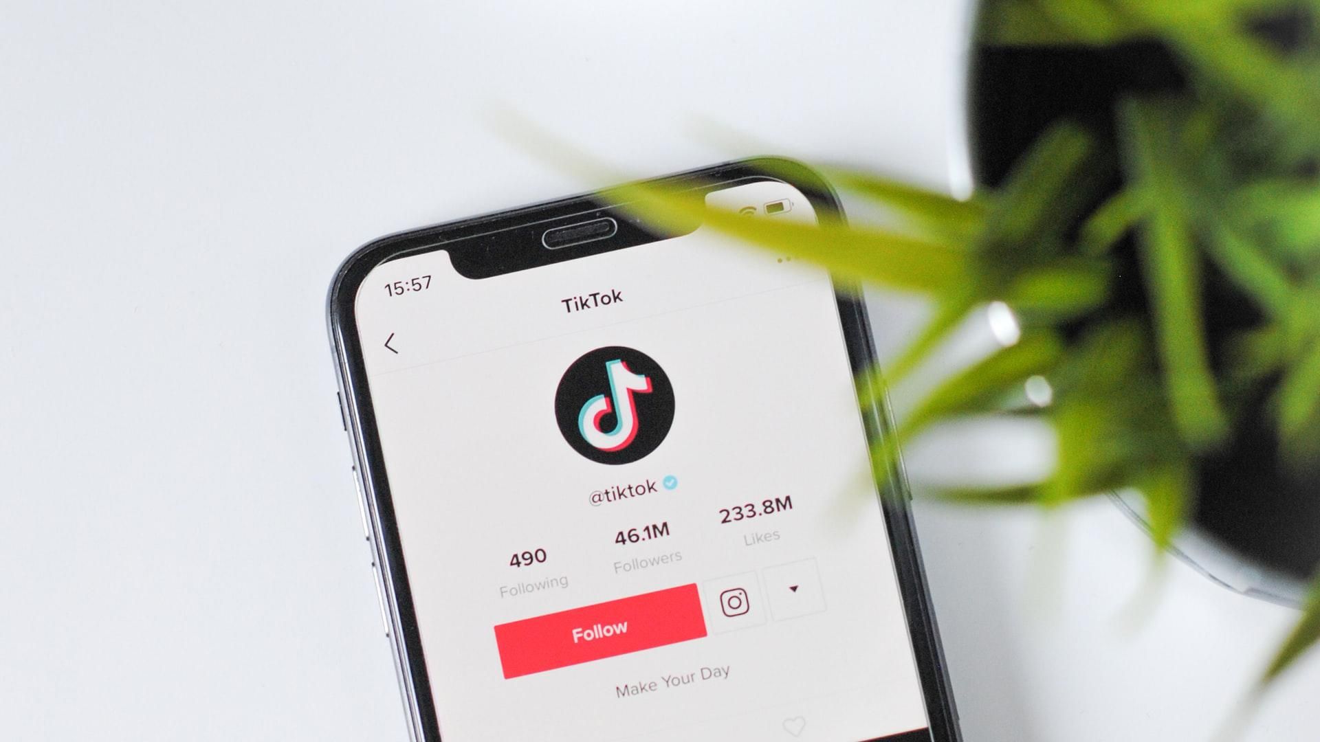 У TikTok новый тренд - живые фото захватывают соцсеть У TikTok новый тренд - живые фото захватывают соцсеть