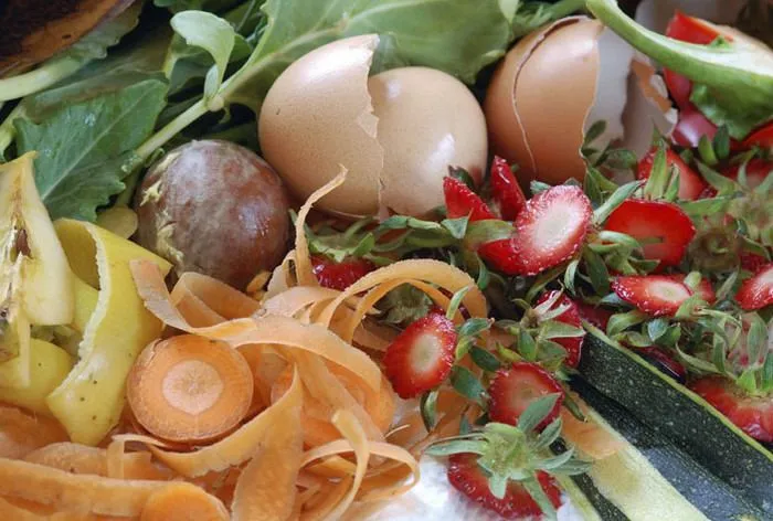 Органічні відходи Органічні відходи