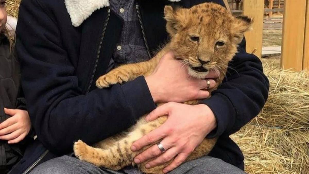 На Киевщине суд оправдал ферму, где издевались над животными На Киевщине суд оправдал ферму, где издевались над животными