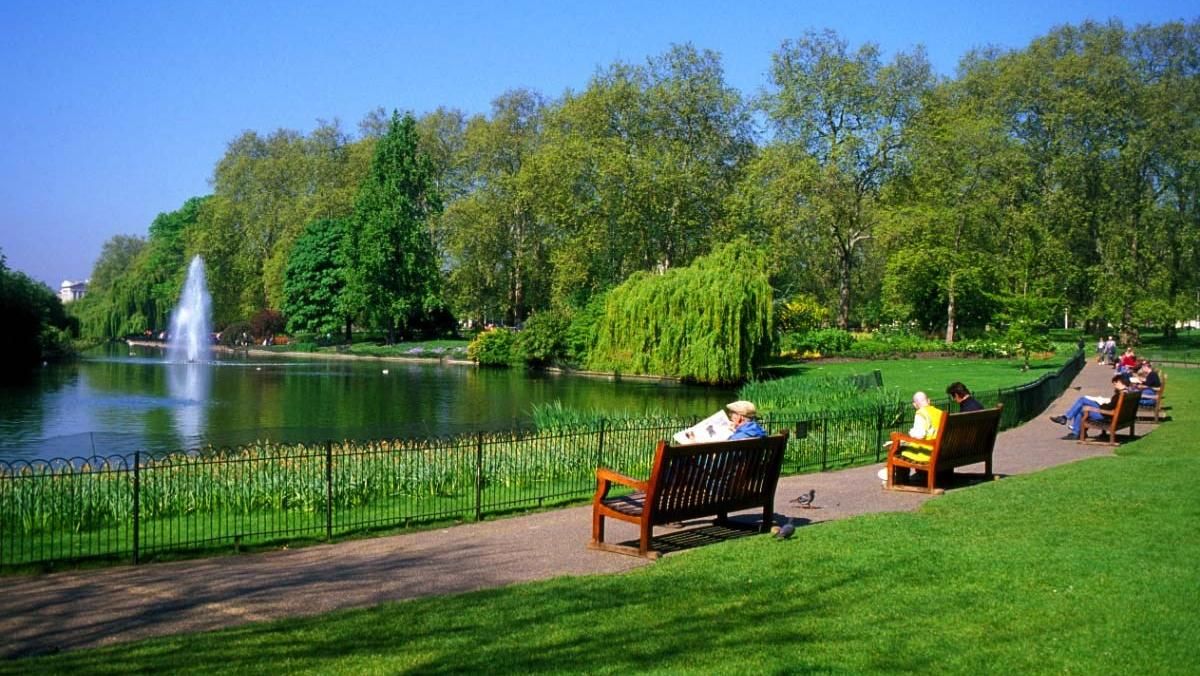 У Києві створили інтерактивну карту скверів, парків та зелених зон У Києві створили інтерактивну карту скверів, парків та зелених зон