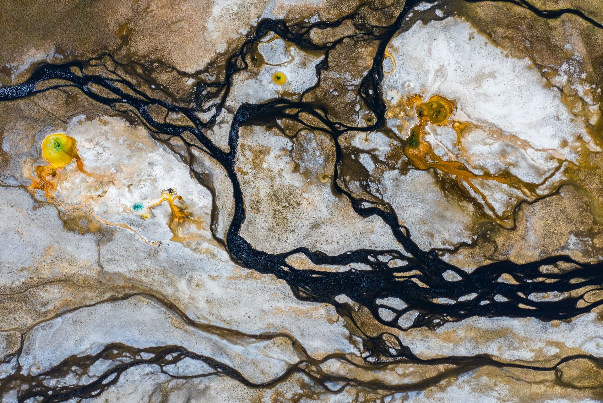 Геологи обнаружили следы цунами от астероида, погубившего динозавров Геологи обнаружили следы цунами от астероида, погубившего динозавров