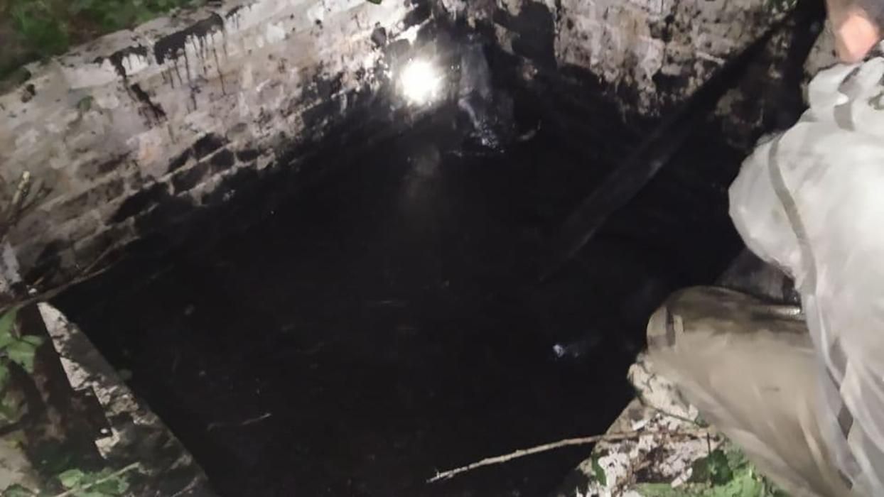 На Харківщині врятували козу та корову, які впали у яму На Харківщині врятували козу та корову, які впали у яму