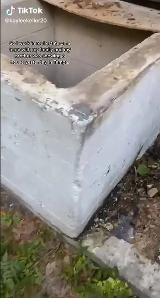 Вхід у приміщення / Скриншот тікток kayleekeller20 Вхід у приміщення / Скриншот тікток kayleekeller20