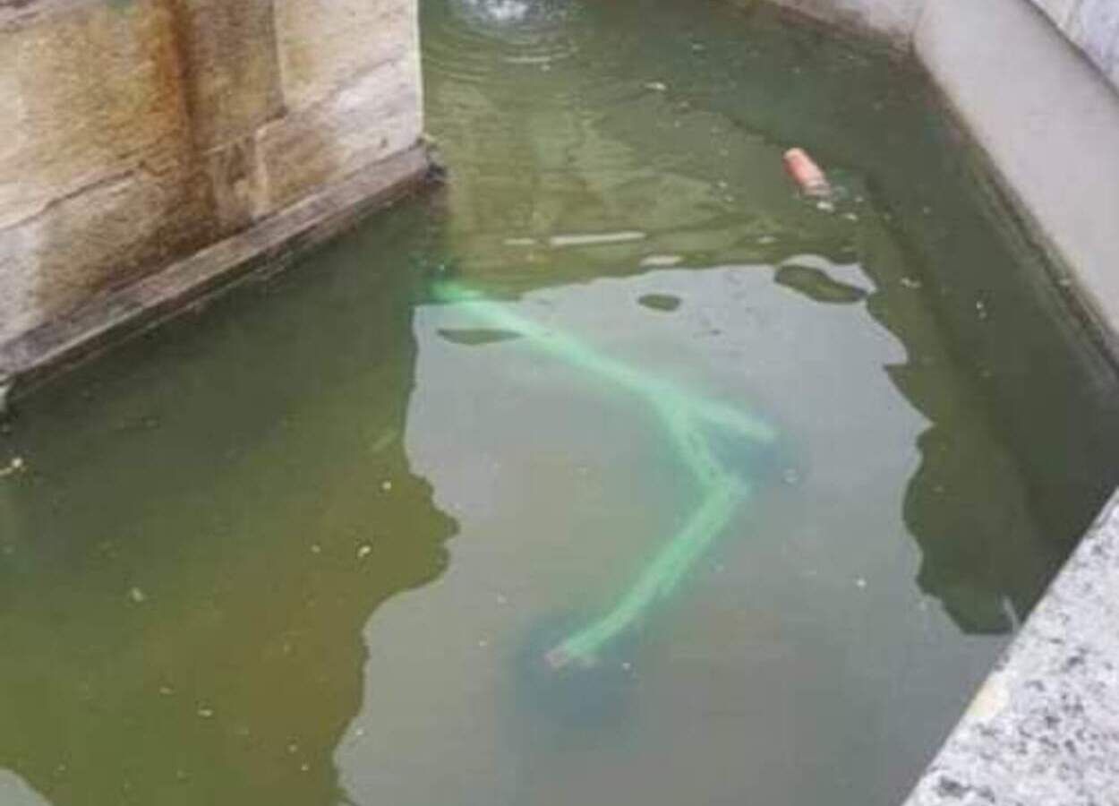 Припаркував електросамокат у фонтані: суд оштрафував львів'янина Припаркував електросамокат у фонтані: суд оштрафував львів'янина