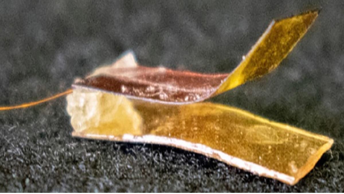 Импланты способны восстанавливать ощущения поврежденных конечностей Импланты способны восстанавливать ощущения поврежденных конечностей