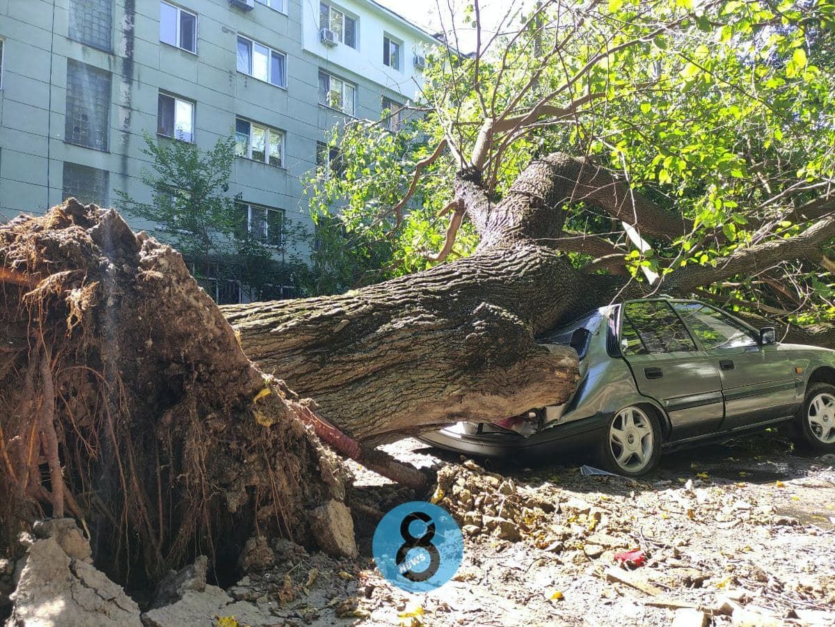Деревопад у Одесі 15 липня 2021: знищено кілька машин Деревопад у Одесі 15 липня 2021: знищено кілька машин
