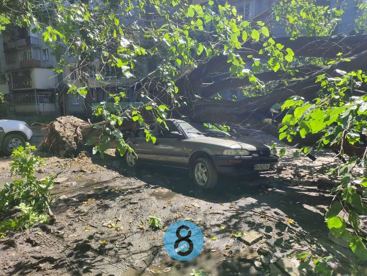 Одеса Дерева впали 15.07.2021 Івана та Юрія Лип пошкодили авто деревопад Одеса Дерева впали 15.07.2021 Івана та Юрія Лип пошкодили авто деревопад