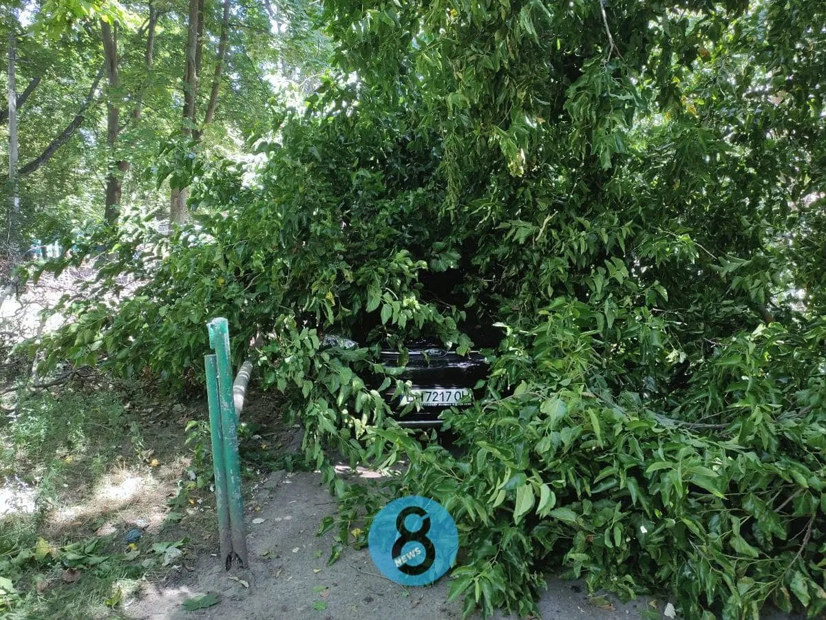 Одеса Дерева впали 15.07.2021 Івана та Юрія Лип пошкодили авто деревопад Одеса Дерева впали 15.07.2021 Івана та Юрія Лип пошкодили авто деревопад