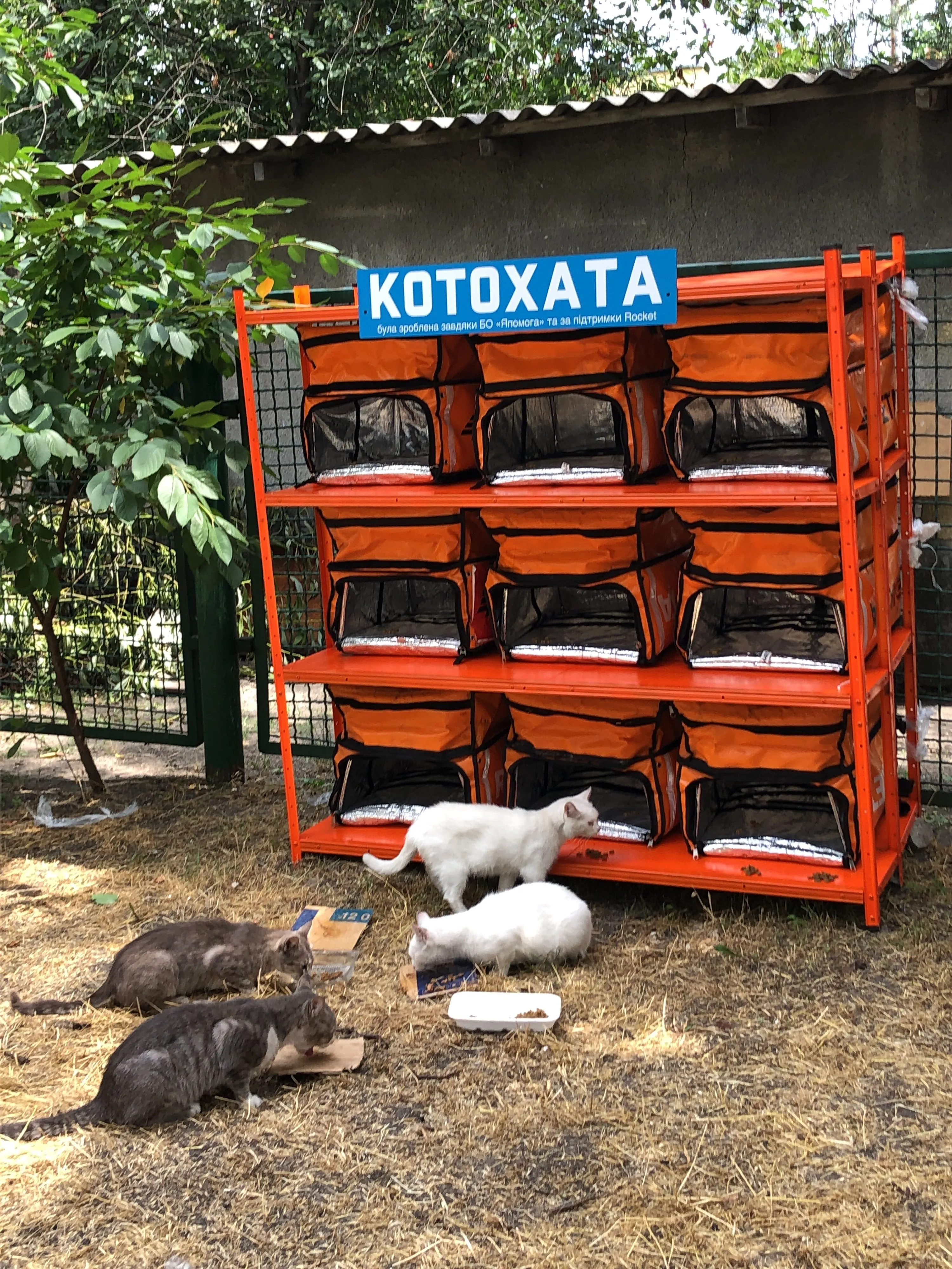 Котохатка Ракети Котохатка Ракети