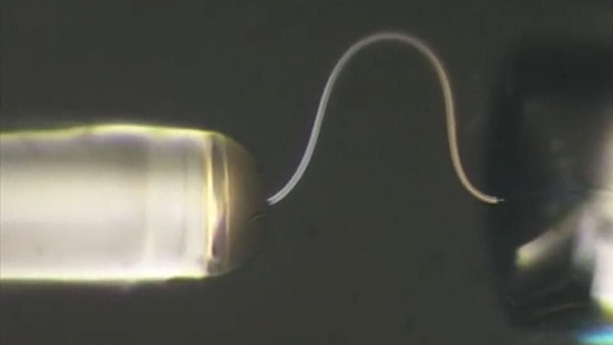 Китайские ученые изобрели гибкий лед, который можно завязать в узел Китайские ученые изобрели гибкий лед, который можно завязать в узел