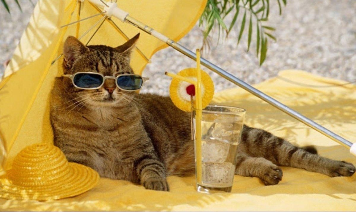 Погода 16 липня 2021: прогноз від синоптиків України Погода 16 липня 2021: прогноз від синоптиків України