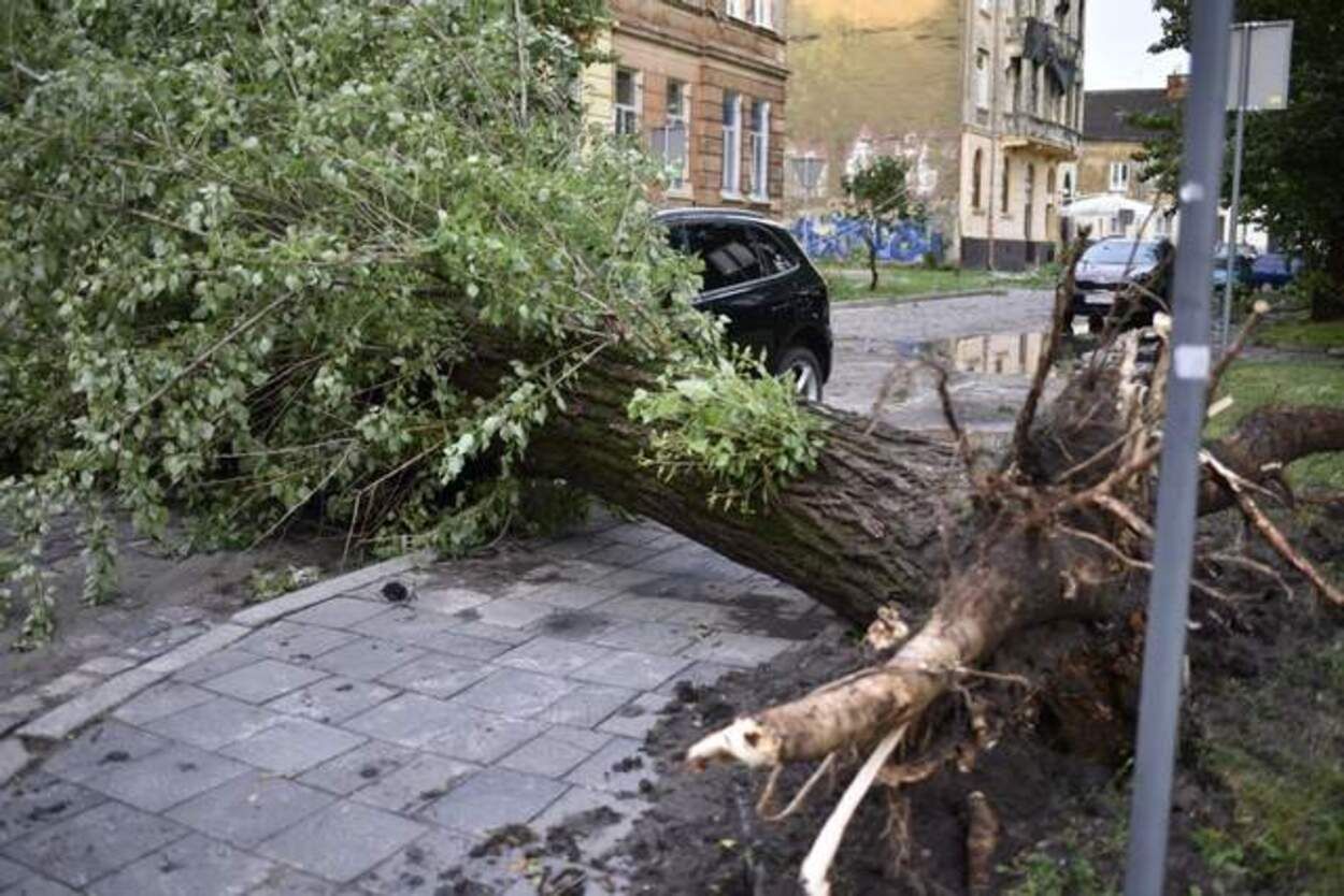 Убытки - 23 миллионов гривен: во Львове еще не пришли в себя от страшного урагана