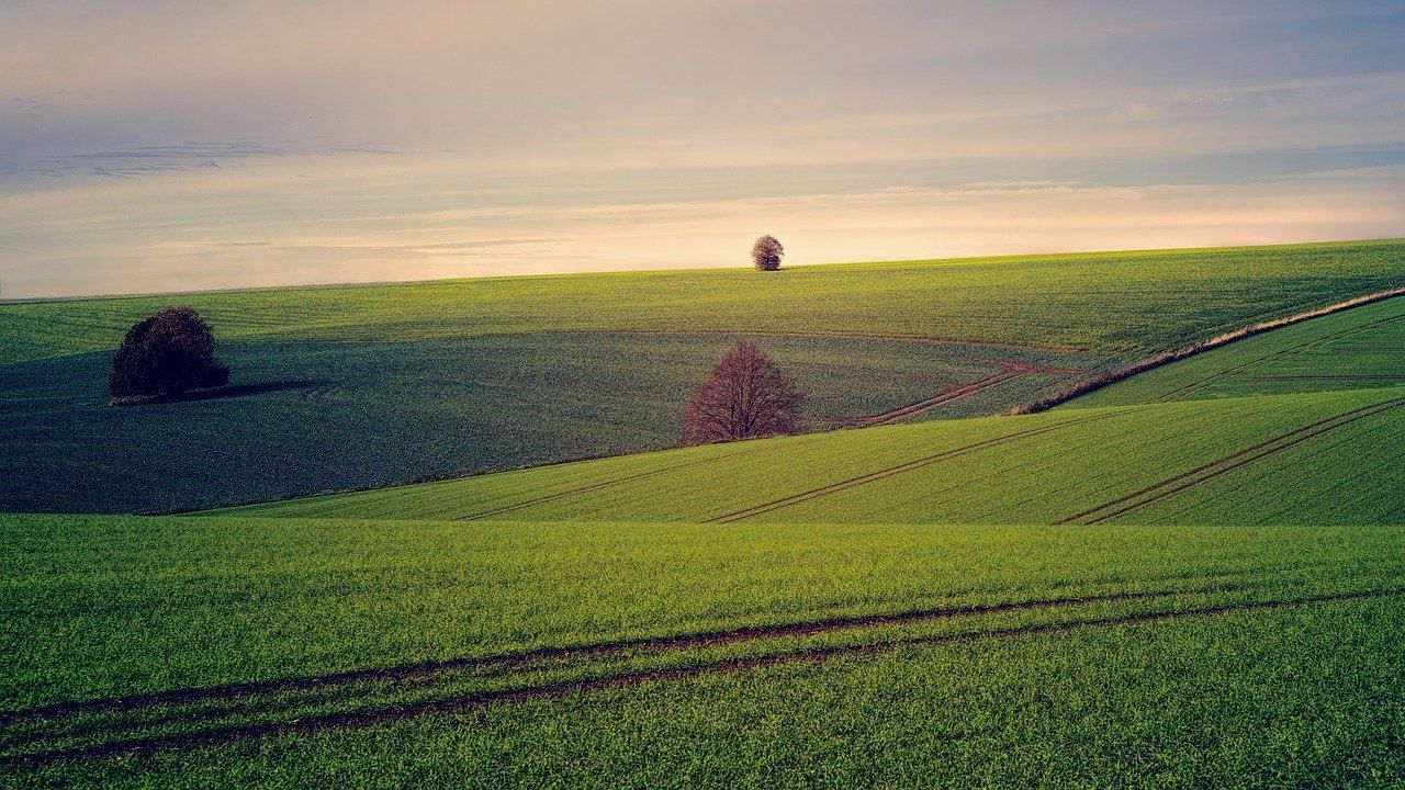 Земля в Україні