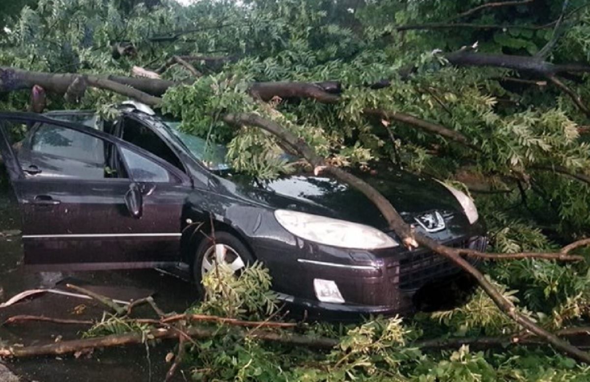Неголда у Польщі 15-16 липня 2021: фото наслідків Неголда у Польщі 15-16 липня 2021: фото наслідків