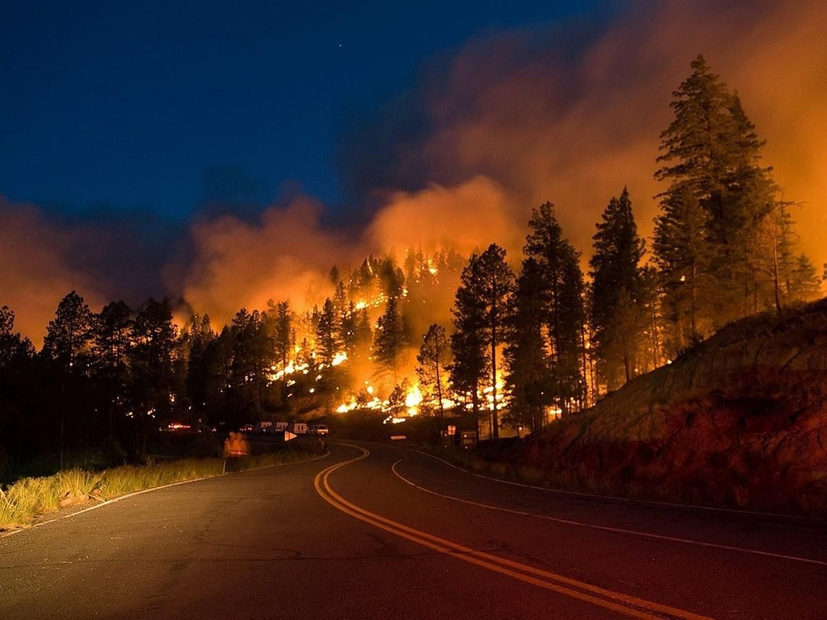 Лісові пожежі в Росії 16 липня 2021 охопили понад мільйон гектарів