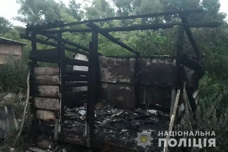 Пожар, Тернопольская область, погиб ребенок, взрослые смотрели телевизор, 15 июля 2021