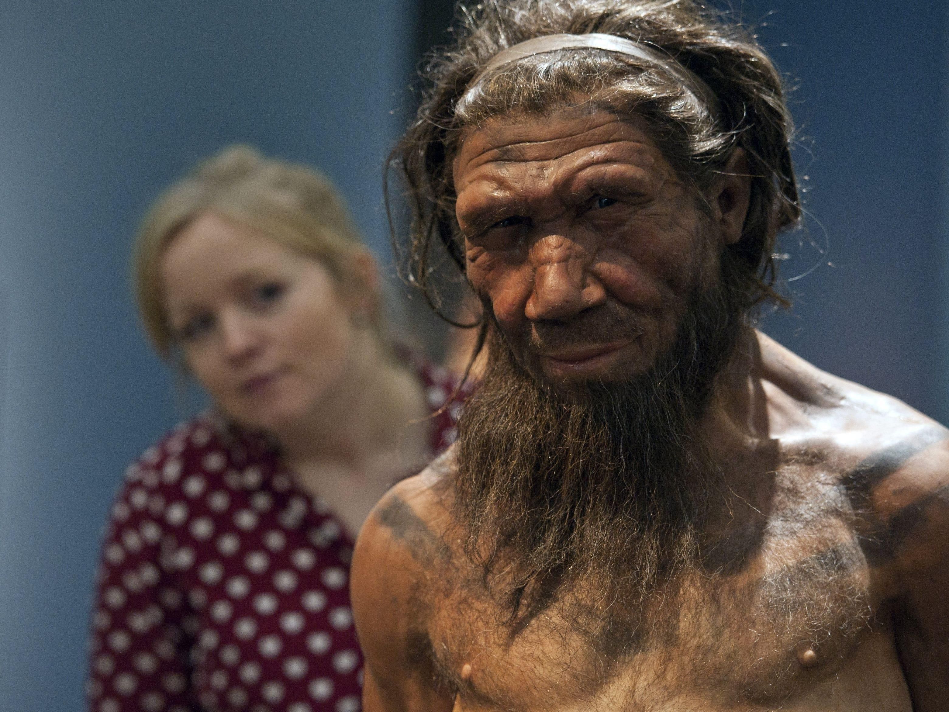 Неандертальцы: насколько человек похож на неандертальца