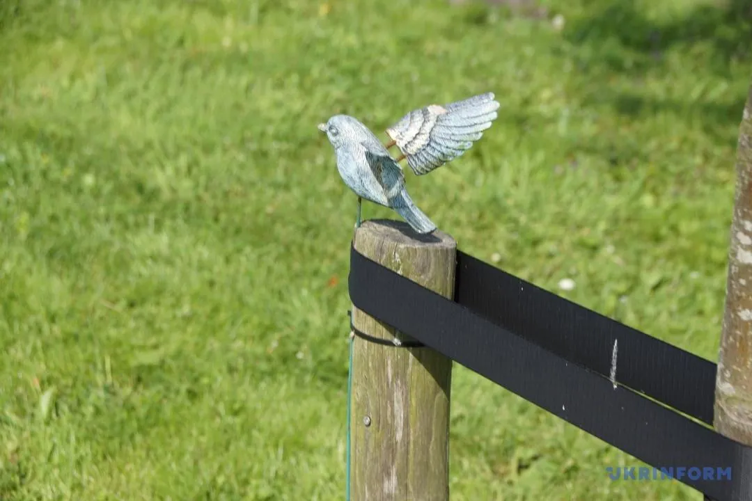 Вшанування пам'яті загиблих пасажирів рейсу MH17