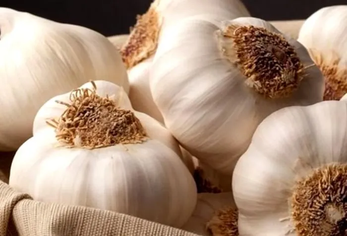 Часник Часник