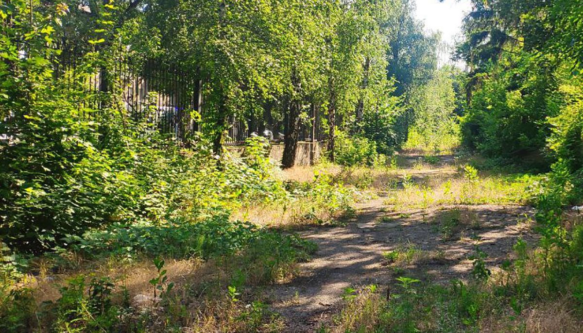 Занедбаний Донецьк після російської окупації: у мережі показали фото