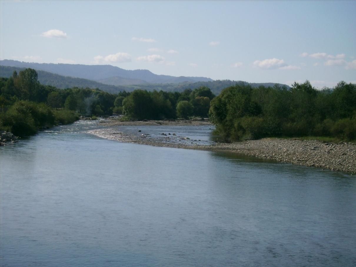 На Ивано-Франковщине в реке утонули 3 человека: среди них дети