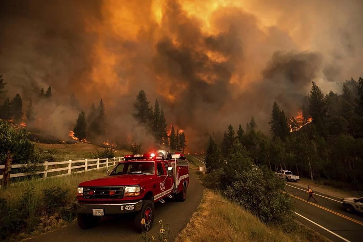 На Заході США вирують масштабні пожежі площею з Нью-Йорк: відео На Заході США вирують масштабні пожежі площею з Нью-Йорк: відео
