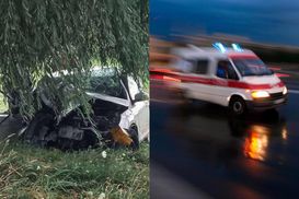 Водитель не справился с управлением: на Волыни в ДТП погибли 3 человека, еще 9 – пострадали