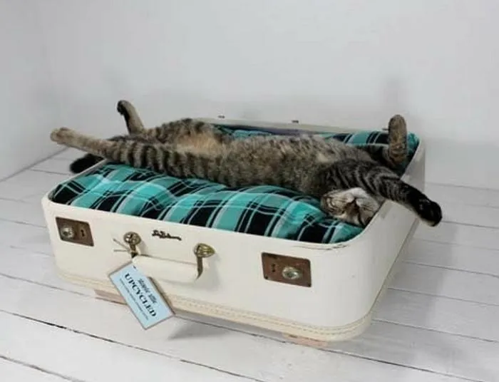 Лежак для кота