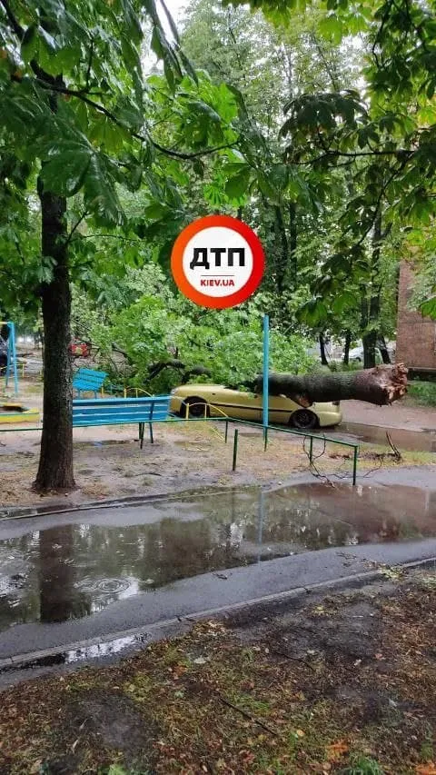 Дерево розчавило авто