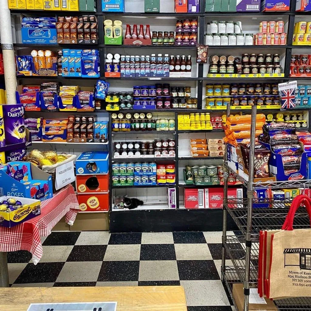 Фото Bodegacats Фото Bodegacats