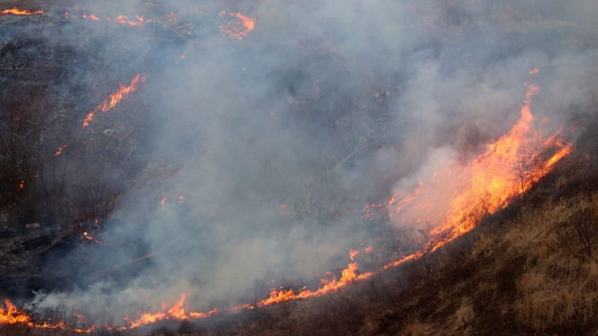 Масштаби екологічної катастрофи в Якутії зростають: відео пожежі