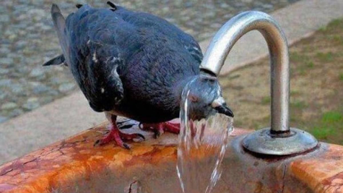 У Києві зафіксували найтепліший день за 141 рік - Україна новини У Києві зафіксували найтепліший день за 141 рік - Україна новини