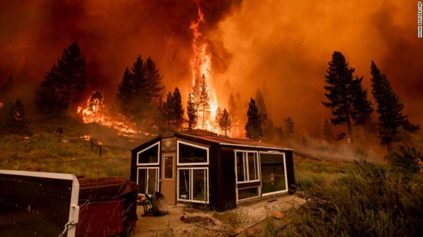 Пожежі на Заході США: вогонь знищив сотні тисяч гектарів лісу – фото