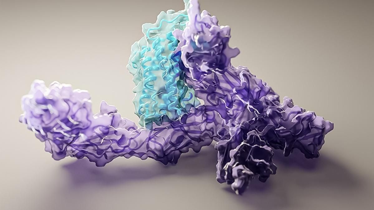 Открыт доступ к технологии прогнозирования структуры белка Открыт доступ к технологии прогнозирования структуры белка