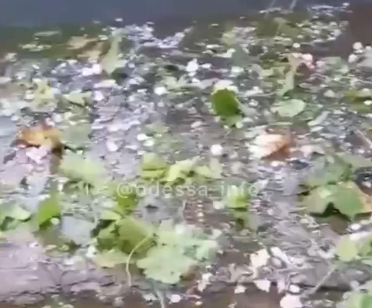 На Одещині випав град, розміром з горіх: відео На Одещині випав град, розміром з горіх: відео