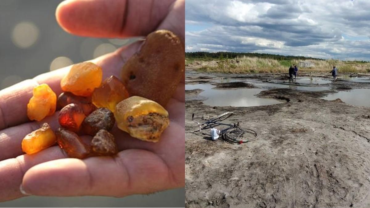 На Рівненщині зменшився нелегальний видобуток бурштину На Рівненщині зменшився нелегальний видобуток бурштину