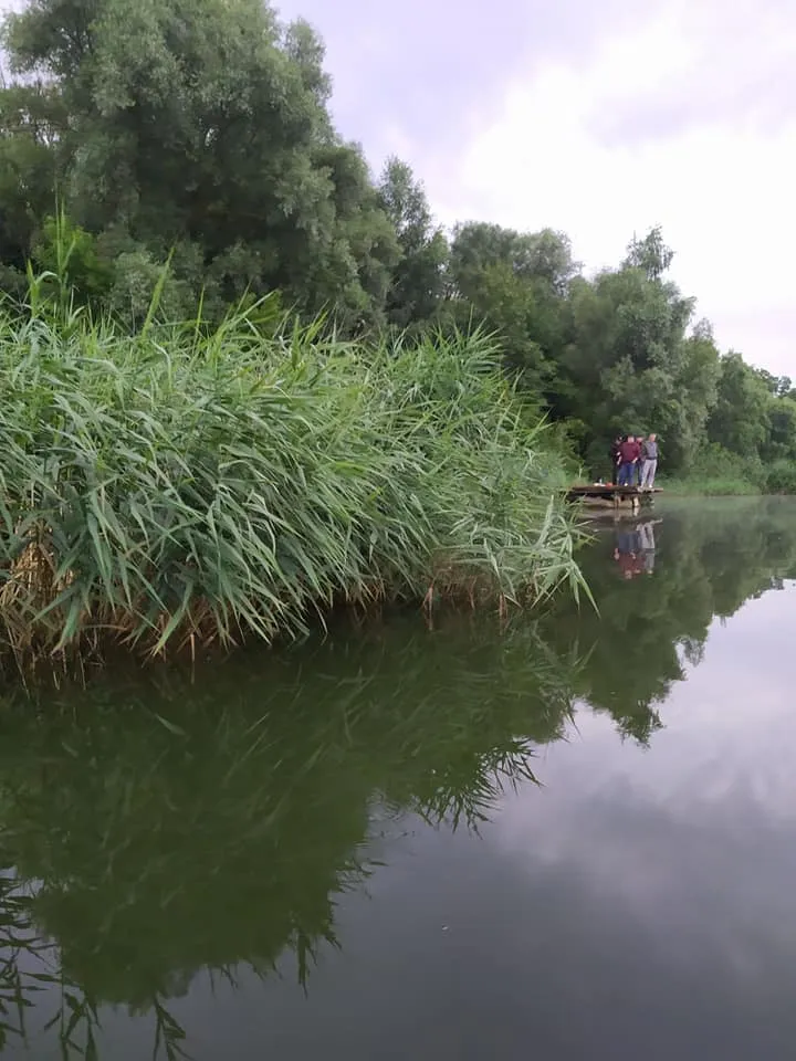 Впав з містка у воду: на Львівщині потонув п'яний рибалка – фото