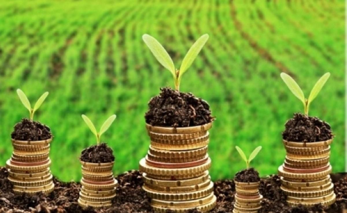 Открытие рынка земли в Украине Открытие рынка земли в Украине