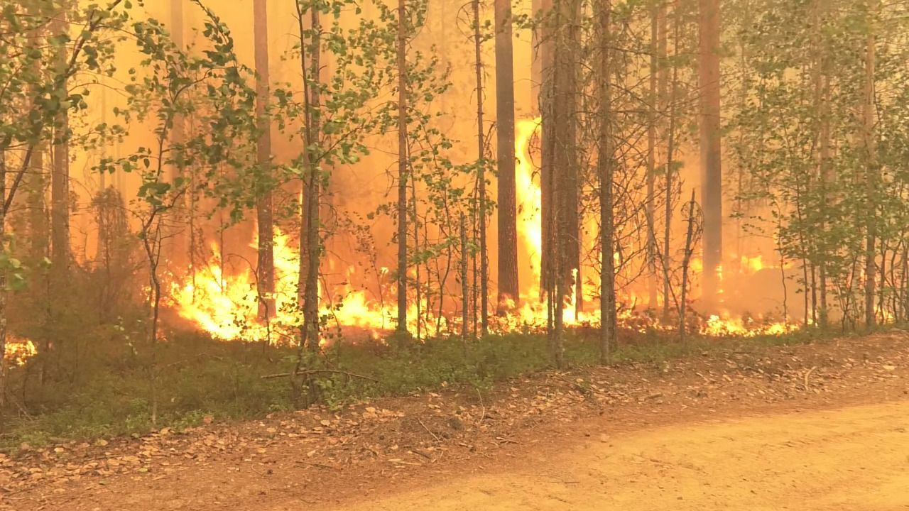 У Росії ввели режив надзвичайної ситуації через лісові пожежі