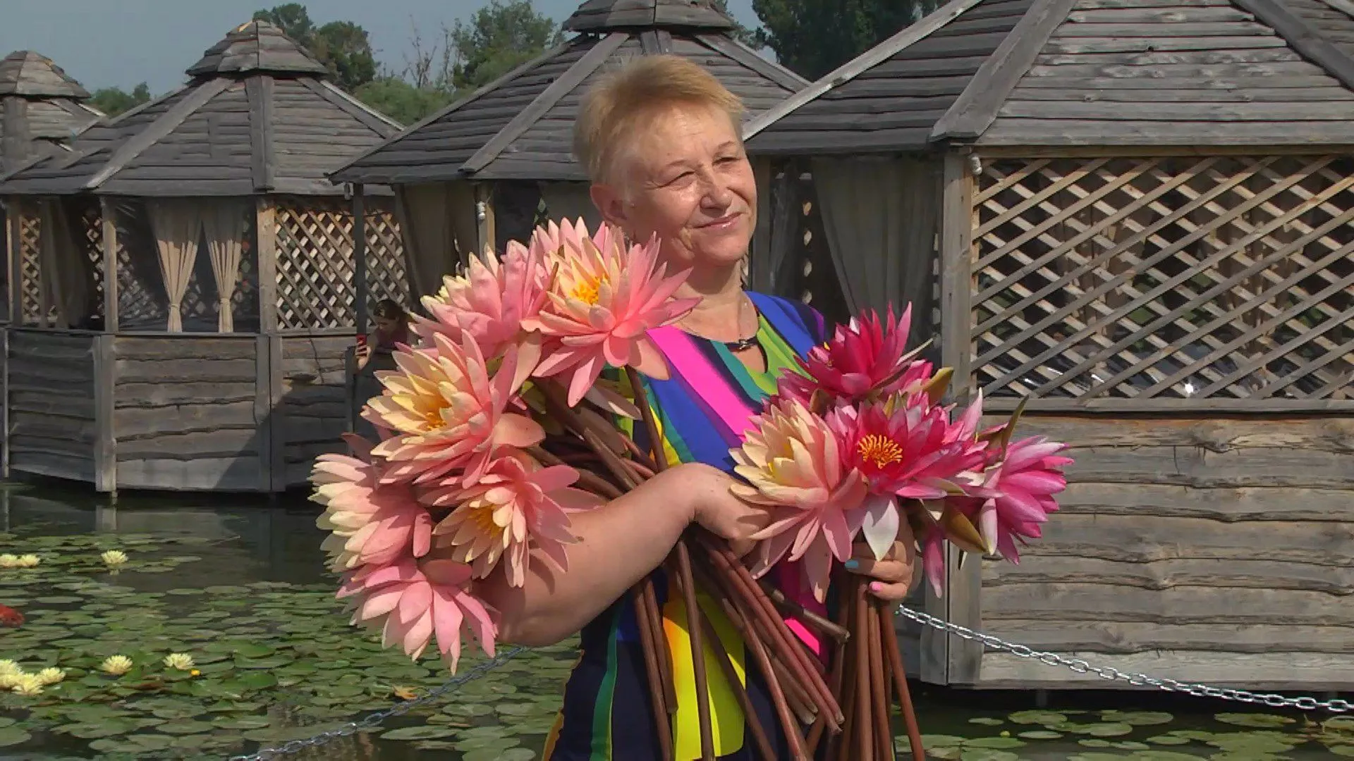 водяні лілії вінниця