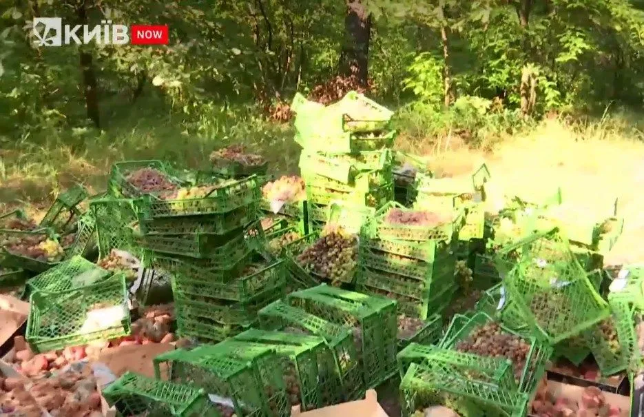 Киев, выброшенные овощи и фрукты, парк Партизанской славы