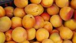 Вареники з вишнею і компот з абрикос стали розкішшю: чому ростуть ціни 